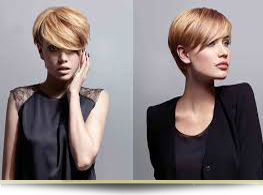 Chignon